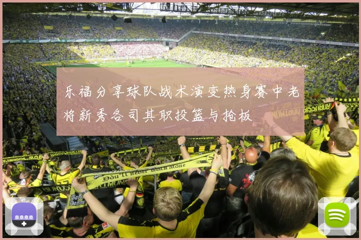 乐福分享球队战术演变热身赛中老将新秀各司其职投篮与抢板