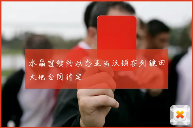 水晶宫续约动态亚当沃顿在列镰田大地合同待定
